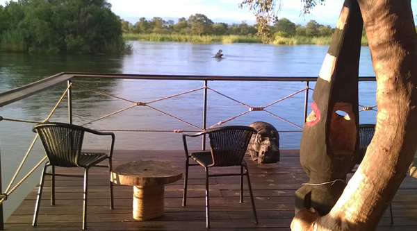 Okavango river with hippo