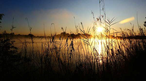 Sonnenaufgang über dem Okavango